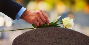 Cropped shot of a man placing a white rose on a grave